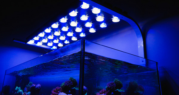 2009 Première génération de rampe LED alpheus (gamme XR-E)