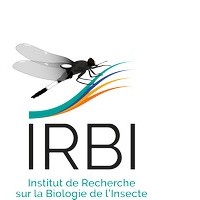 IRBI (Client alpheus)