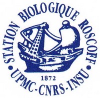 Client alpheus logo station biologique de Roscoff