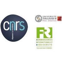 cnrs lrsv (Client alpheus)