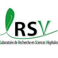 Client alpheus logo LSRV